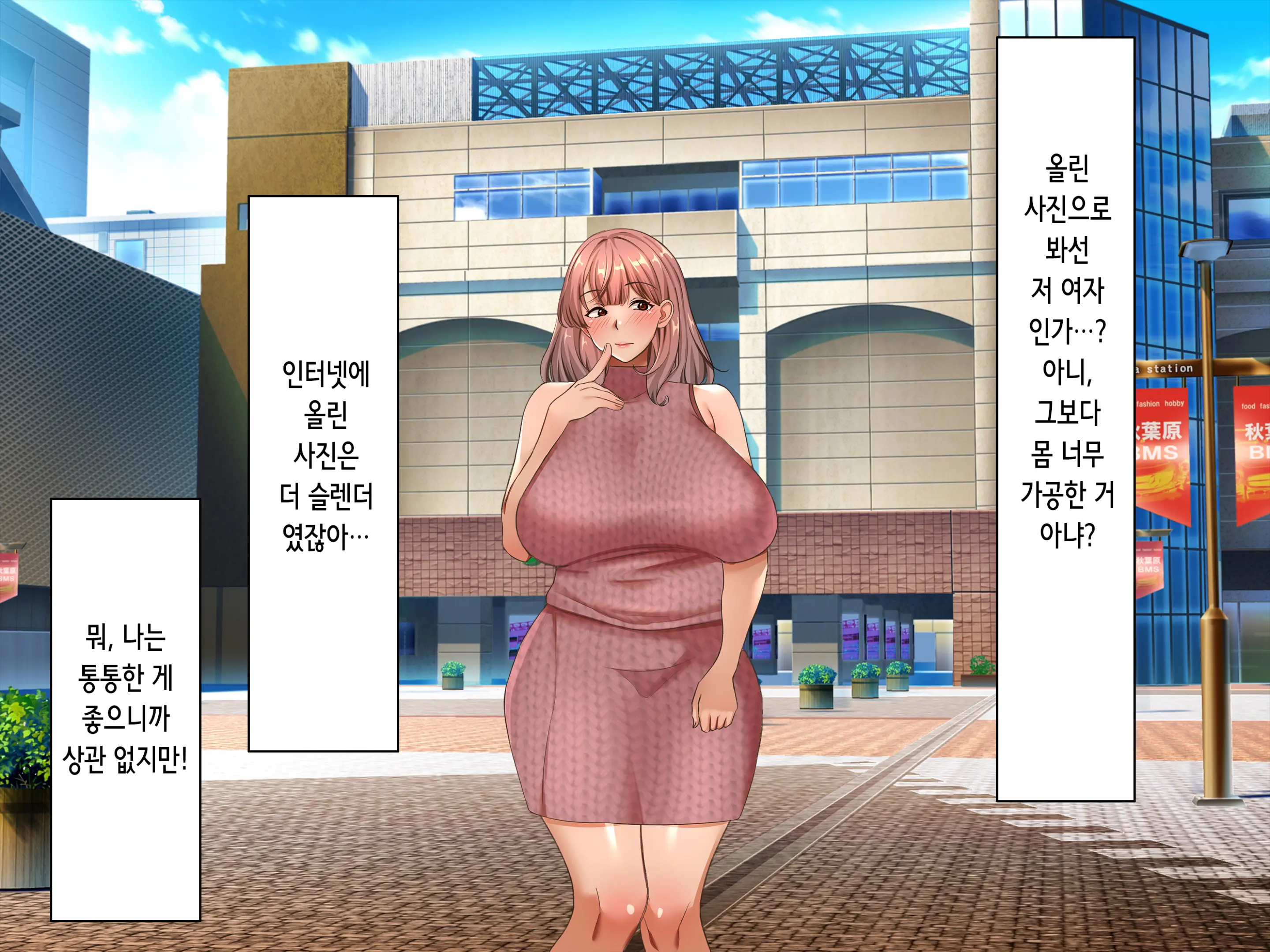 Net De Ikitteta Papakatsu Onna O Onaho Ni Shita Ken | 인터넷으로 나대던 파파카츠녀를 오나홀로 삼은 건